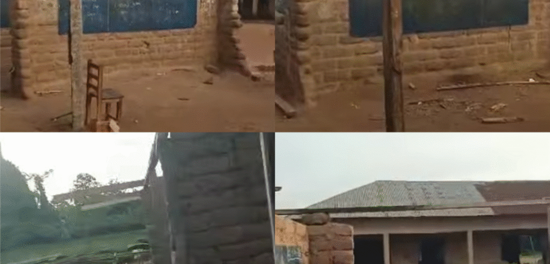 Students Learning Under Trees: Darso Islamic Basic School’s Plea for Help Falls on Deaf Ears”