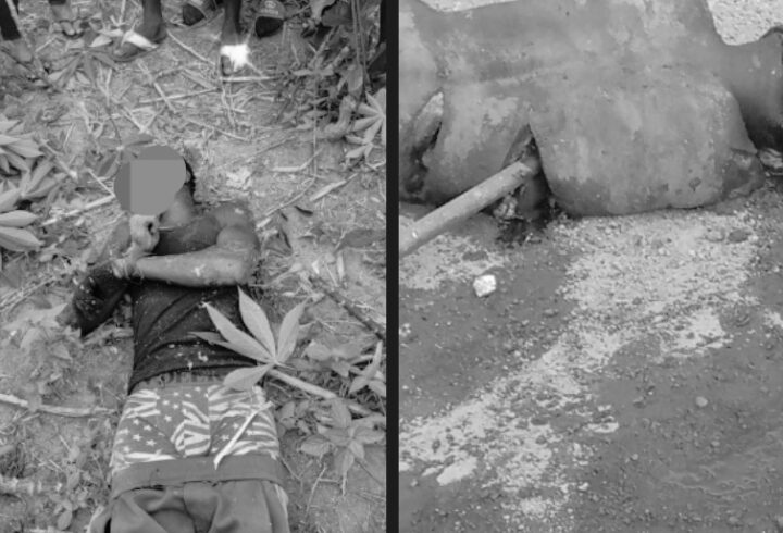 Screenshot_20251122_084803_WhatsApp