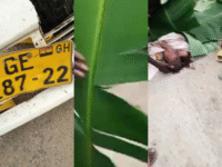 Breaking News: Tragic Accident Claims Three Lives in Adeiso