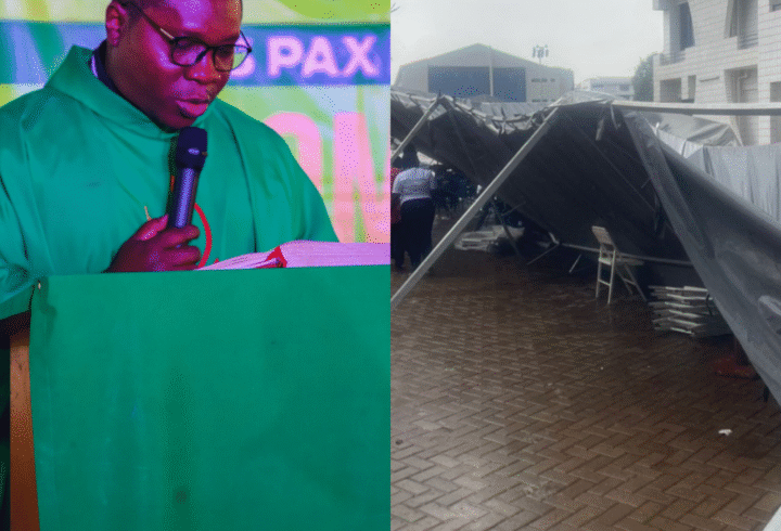 image_2025-11-24_12-41-49