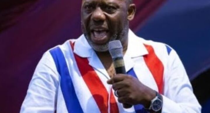 NPP Managed COVID-19 Well but Paid a Heavy Price at the Polls — Napo