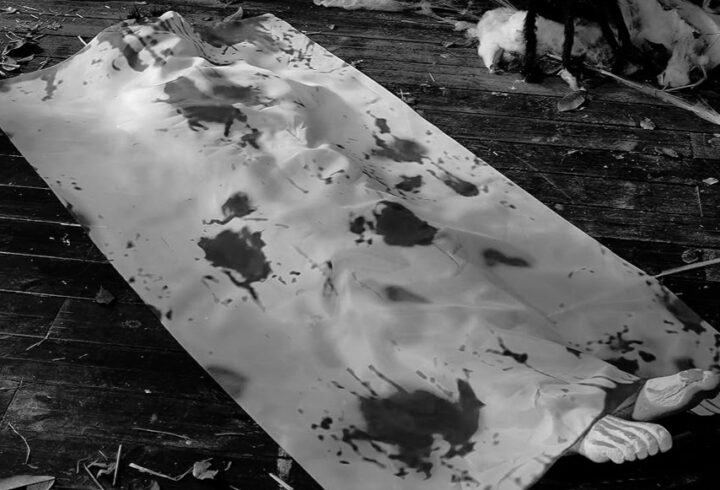 816koWs73xL._AC_UF1000,1000_QL80_