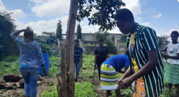 Safe-Child Advocacy Eulogises Ghana’s Gallant Farmers on National Farmers’ Day.