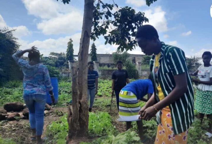 FB_IMG_1764964315006