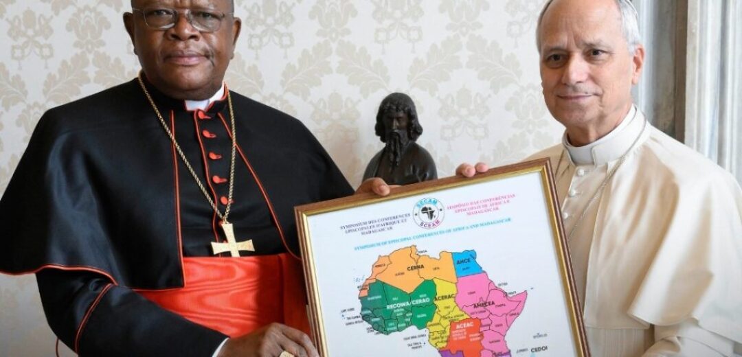 “Pope Leo XIV Meets African Church Leaders, Pledges Support”
