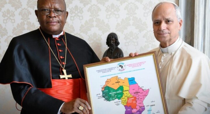 “Pope Leo XIV Meets African Church Leaders, Pledges Support”