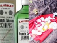 Teacher’s Curse Sparks Fear at Nkenkenso SHS