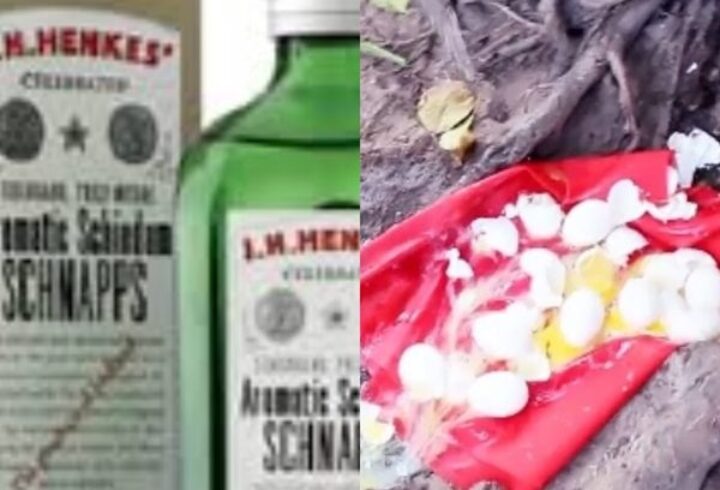 9ff89a9c-40e8-4683-b04a-3abe499d6a87-600x470