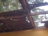 Besease Basic School Struggles with Sanitation Crisis