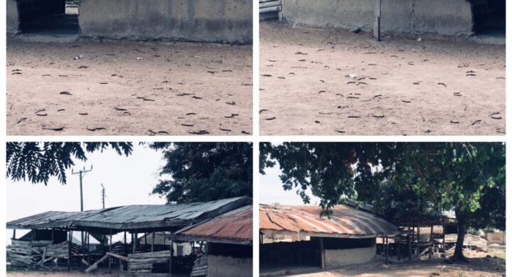 Broken Promises: Apenten D/A Primary School Cries Out for Help  