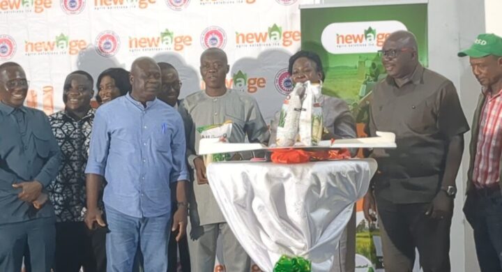 Ghana’s Agricultural Transformation Gets Boost with ‘Nkomo’ Hybrid Maize