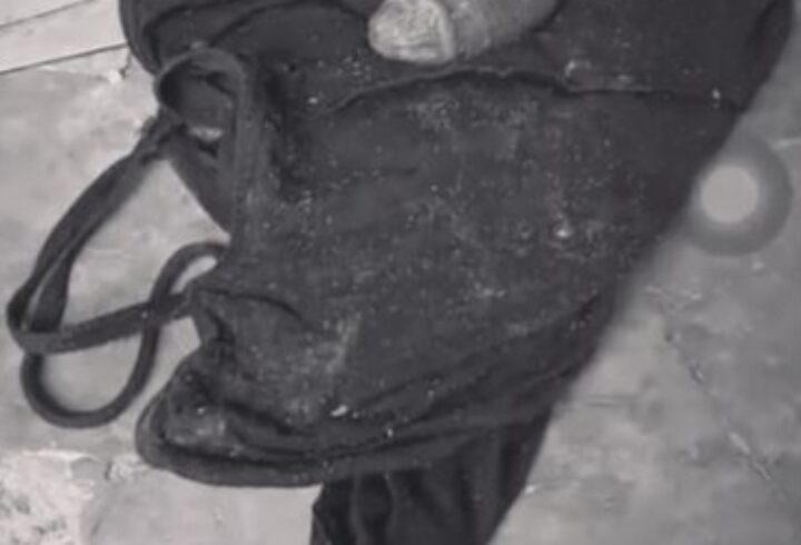 CREATOR: gd-jpeg v1.0 (using IJG JPEG v62), quality = 82?