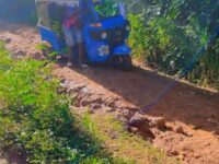 “Bad Roads Stifle Offinso North: Farmers, Traders, and Patients Plead for Urgent Infrastructure Fix”