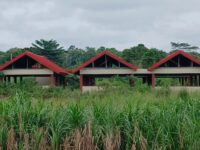 We need markets and Jobs Not Slogans: Asempanaye Market Still Abandoned as Residents Cry for Relief
