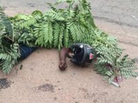 Two Killed, One Injured in Fatal Nsutam Highway Crash