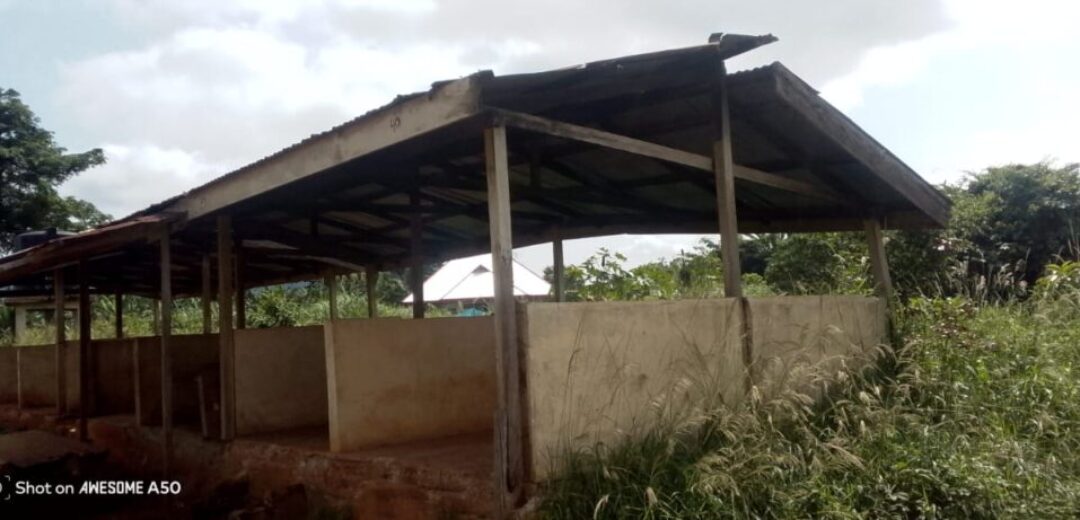 SABRONUM MARKET WOMEN CRY OUT OVER DANGEROUS, FLOODED TRADING SPACE  