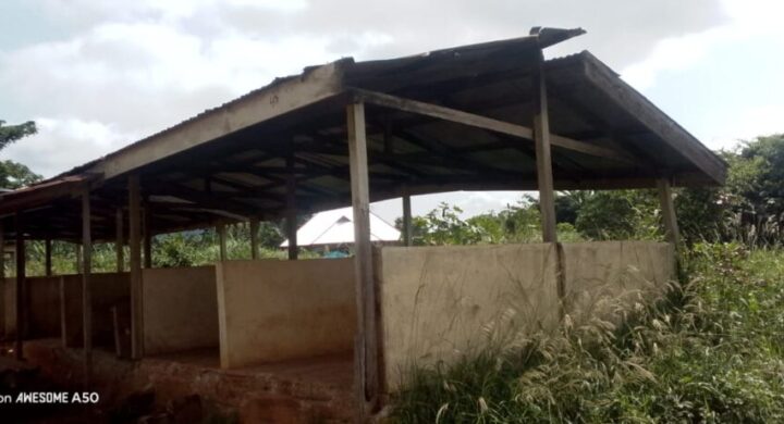 SABRONUM MARKET WOMEN CRY OUT OVER DANGEROUS, FLOODED TRADING SPACE  