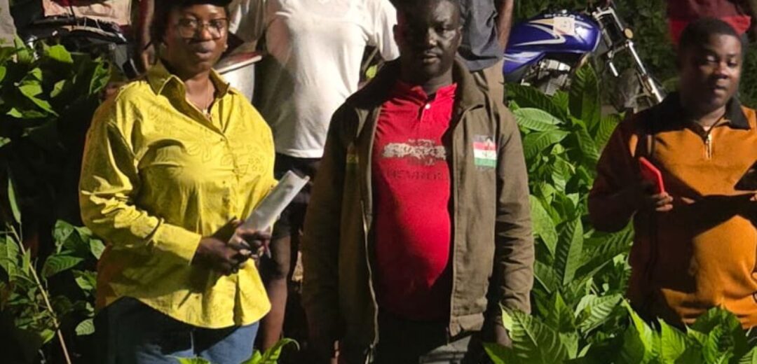 Biakoye MP, Afarinick Company Ltd Distribute 30,000 Cocoa Seedlings to Boost Production  