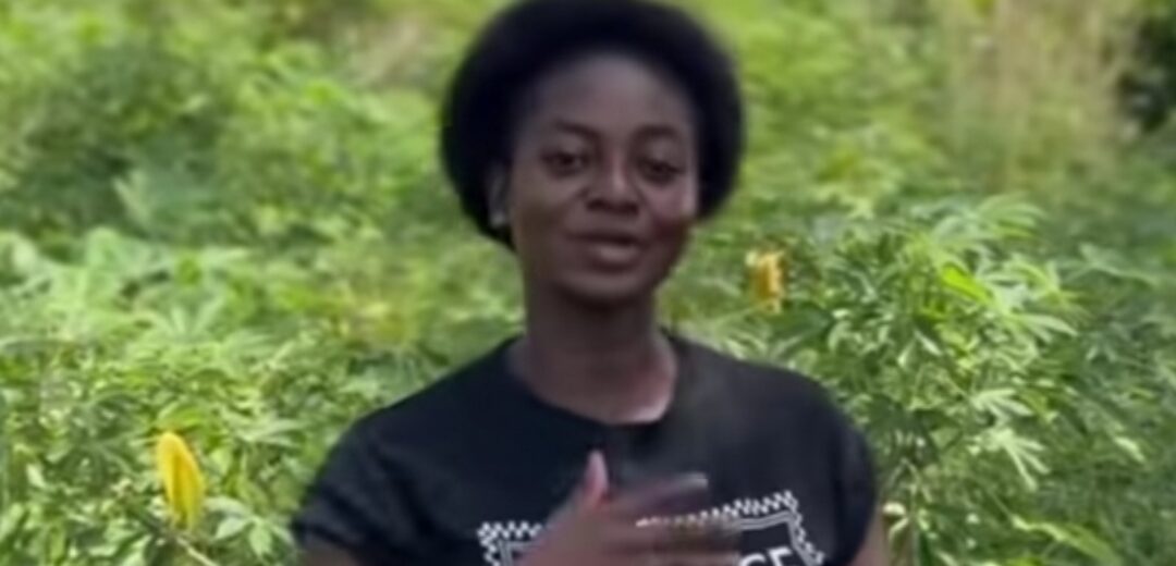 Nurse From 2023 Batch Turns To Cassava Farming, Appeals For Buyers After Years Without Posting