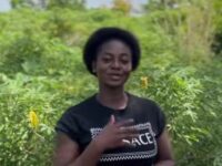 Nurse From 2023 Batch Turns To Cassava Farming, Appeals For Buyers After Years Without Posting