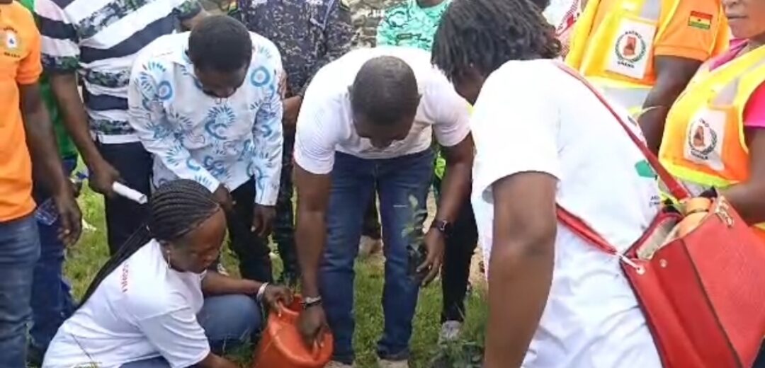 C/R: PLANT A TREE TO SAVE LIVES AND PROPERTIES — DCE