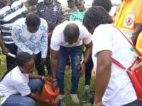C/R: PLANT A TREE TO SAVE LIVES AND PROPERTIES — DCE