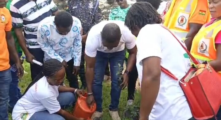 C/R: PLANT A TREE TO SAVE LIVES AND PROPERTIES — DCE
