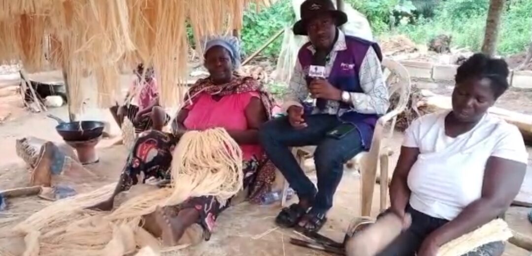 E/R: Akyem Akwadum Sponge Traders Beg Govt for Market Complex and Alternative Livelihood Support