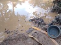 Illegal Miner, About 40, Drowns in Kyebi While Fleeing Arrest