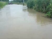 Akrofoa to Asempanaye Road Blocked After Heavy Flooding Destroys Properties and Farmlands – Residents Cry for Help