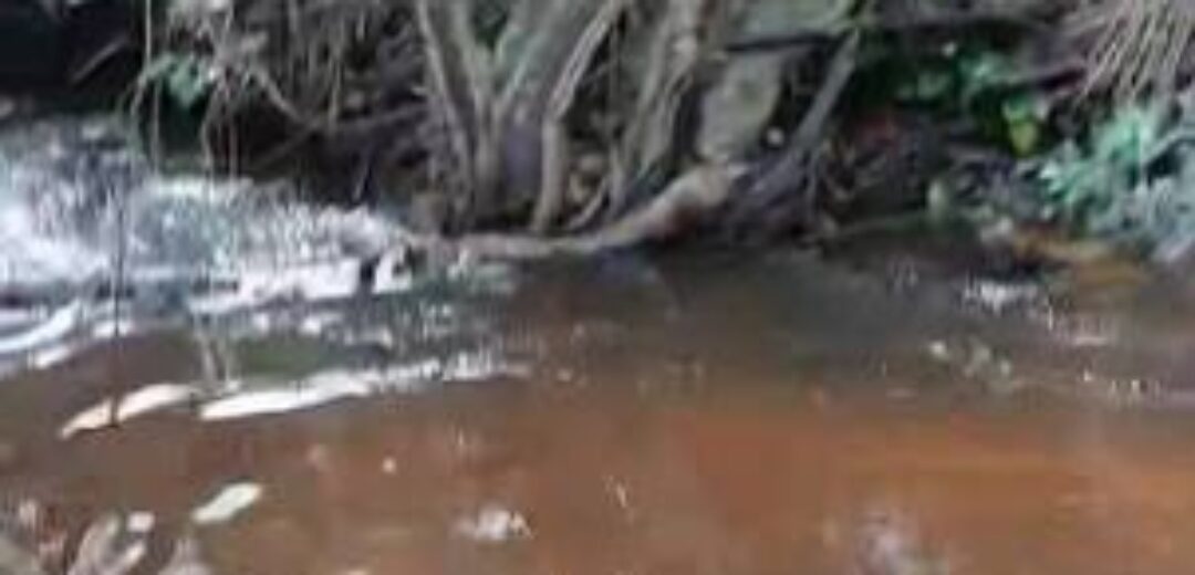 River ‘Vanishes’ in Offinso Koforidua Following Power Outage and Water Shortage