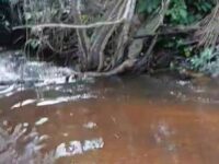 River ‘Vanishes’ in Offinso Koforidua Following Power Outage and Water Shortage