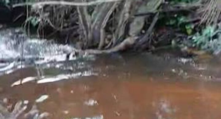 River ‘Vanishes’ in Offinso Koforidua Following Power Outage and Water Shortage