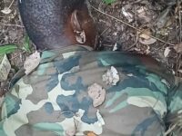 58-year-old Richard Otwey killed during patrol at Assin Kruwa  