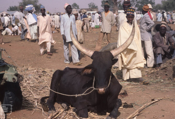 Lessons from the Fulani Market for Ghana’s 24-Hour Market Model
