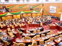 Parliamentarians Haven’t Worked Exceptionally to Deserve 100% Pay Rise – Political Analyst