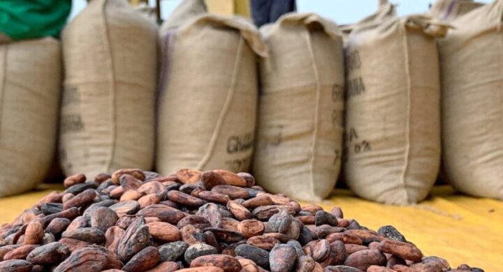 COCOA FARMERS ASSOCIATION WELCOMES INCREASE IN COCOA PRICE