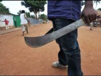 TRAGEDY AT OFFINSO ABROKYIRE: Man Allegedly With Mental Illness Butchers Farm Caretaker To Death, Critically Injures Chief; Lynched By Speeding Car While Fleeing