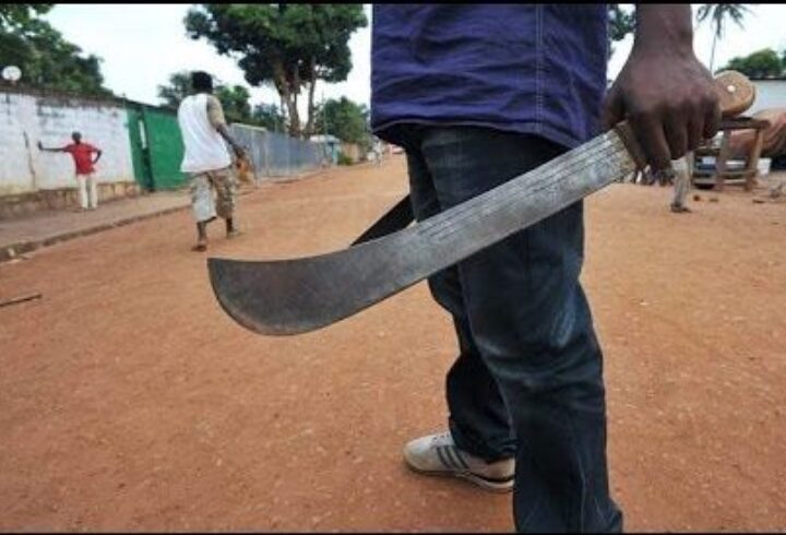 machete-cutlass (2)