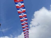 NPP National Executives Elections: Let’s Support Whoever Emerges Victorious for 2028 Victory — Former Dormaa East DCE