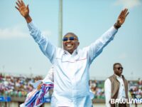 NPP Conference: Flagbearer Now Party Leader As Delegates Approve 14 Amendments