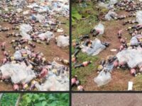 Lawra Municipal Assembly’s Environmental Unit Urged To Act Over Dumping Of Expired Drinks Near MCE’s Residence