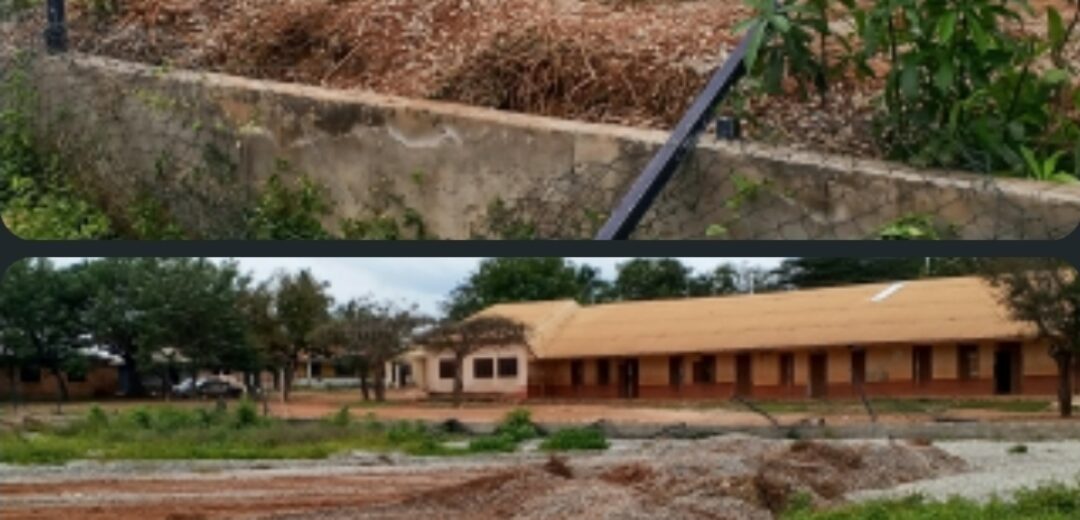 Complete The Wamfie Astroturf, Don’t Demolish It — Dormaa East NPP Vice Chairman To MP